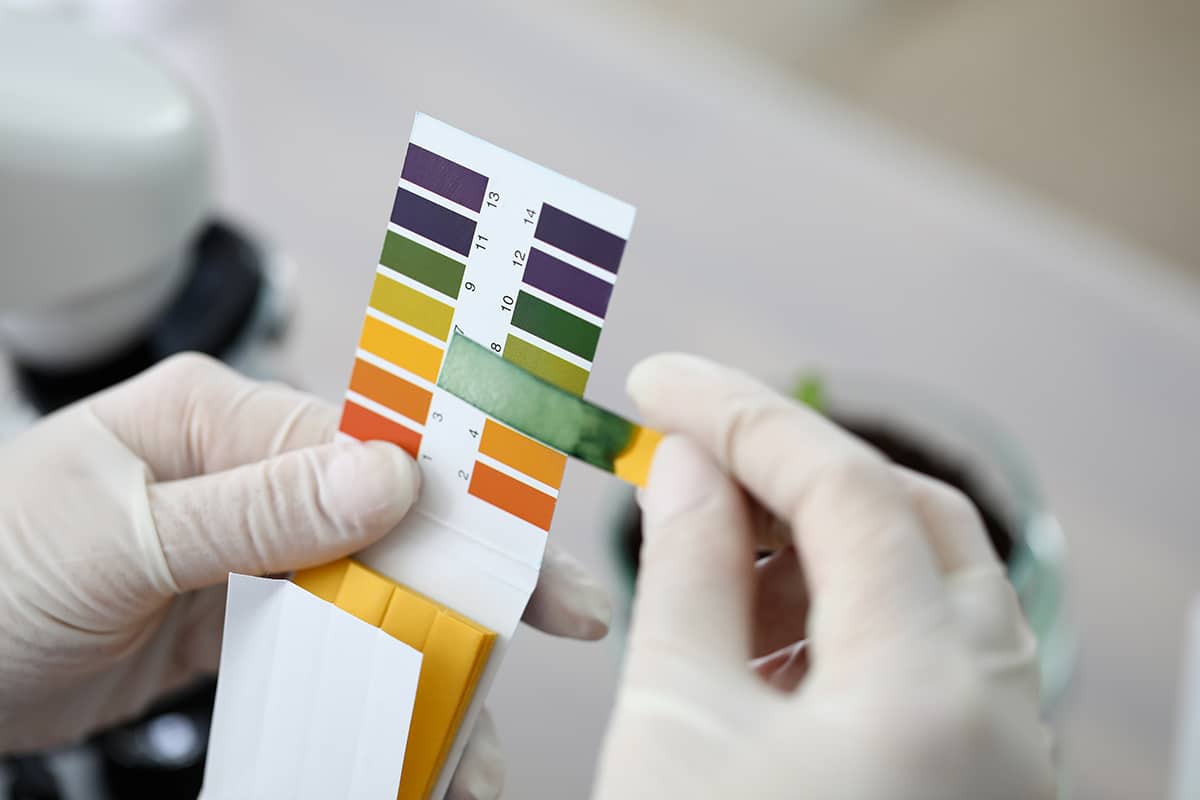 The cleaning product's pH level