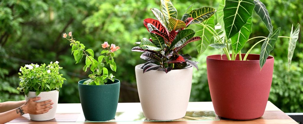 Beautiful Planter