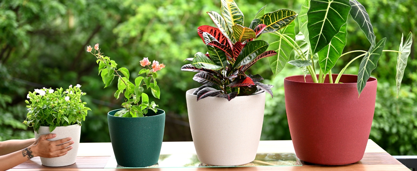 Beautiful Planter
